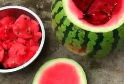 吃瓜后悔了吗,揭秘吃瓜背后的代价