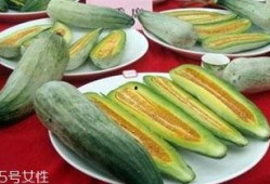 无瓜怎么吃,创意瓜果替代品探索之旅