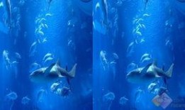 海底吃瓜视频大全,揭秘神秘海底吃瓜瞬间