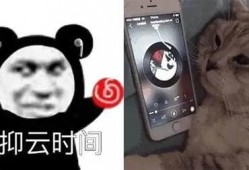 网易云歌单吃瓜