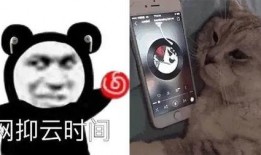 网易云歌单吃瓜