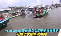 浙江渔船吃瓜群众,吃瓜群众的海洋视角