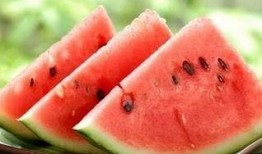 不小心吃腐烂瓜