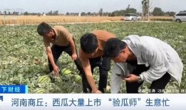 湖师吃瓜墙,揭秘校园热点事件背后的真相