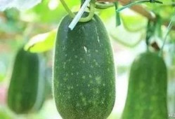 7月最新吃瓜,娱乐圈最新爆料大盘点