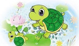 儿童故事小乌龟吃瓜,小乌龟的夏日瓜果盛宴