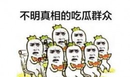 吃瓜群众.,网络时代的围观力量