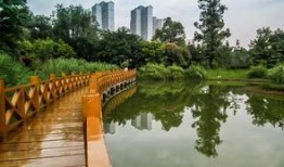 吃瓜成都沙河公园,吃瓜群众的欢乐聚集地