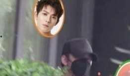 吃瓜视频剧情,揭秘娱乐圈背后的秘密与真相