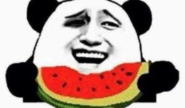 泽熙吃瓜群众,揭秘娱乐圈幕后风云