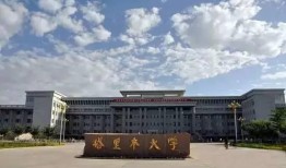 塔里木大学吃瓜,瓜香四溢的青春记忆