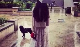 吃瓜观众背影图片大全