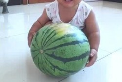 儿童吃瓜主题,儿童吃瓜盛宴，甜蜜滋味乐翻天