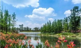 天府公园吃瓜视频高清