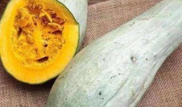 瓜哥吃瓜奇葩商品图片,盘点那些令人瞠目结舌的奇葩商品