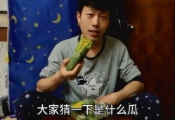 好像有瓜可吃