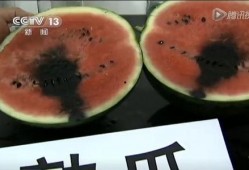 文水吃瓜视频,一场视觉盛宴背后的故事