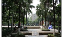 吃瓜成都沙河公园,吃瓜群众的欢乐聚集地