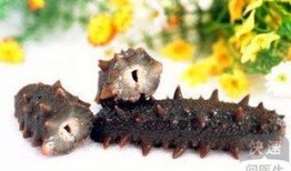 专家吃海参可以吃亚瓜吗,海参与亚瓜的完美搭配