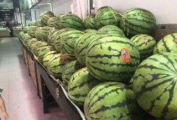 大量吃瓜