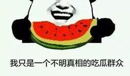 v吃瓜