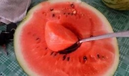 吃瓜的神奇反应,揭秘神奇反应背后的奥秘