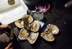 娘娘造型吃瓜,宫廷风潮下的娱乐盛宴