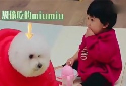 华妞吃瓜,揭秘娱乐圈那些不为人知的幕后故事