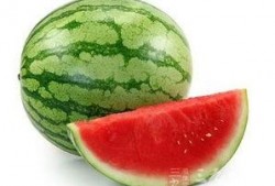 吃紫瓜好处,揭秘吃紫瓜的五大益处