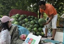 济宁北湖吃瓜事件,一场网络热议背后的真相揭秘