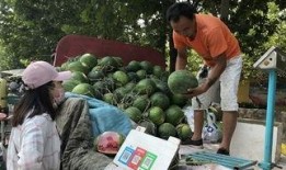 济宁北湖吃瓜事件,一场网络热议背后的真相揭秘