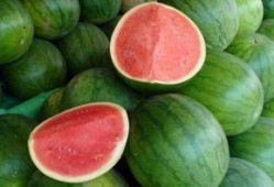 吃大瓜网,吃大瓜网带你领略明星幕后故事