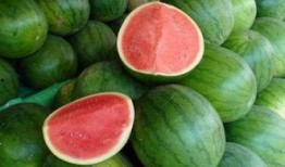 吃大瓜网,吃大瓜网带你领略明星幕后故事