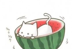 吃瓜群众的qq头像,揭秘吃瓜群众QQ头像背后的故事