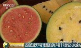 西瓜和吃瓜群众,吃瓜群众的甜蜜狂欢