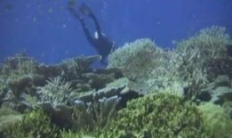 海底吃瓜视频大全,揭秘神秘海底吃瓜瞬间