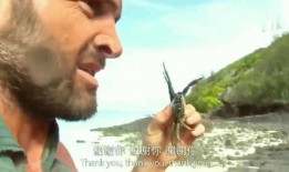 德爷吃野瓜,野瓜盛宴，揭秘自然界的神秘美味