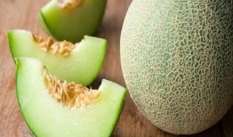 婴儿哈密瓜可以吃吗,哈密瓜的适宜性与食用指南
