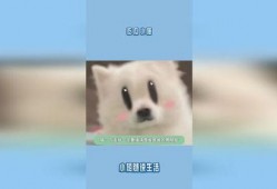 小猫吃瓜爆料,揭秘娱乐圈幕后故事