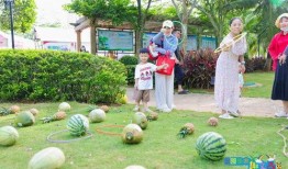 亲子游戏吃瓜大赛,吃瓜大赛欢乐上演