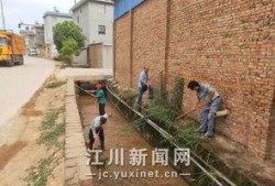 清河大街吃瓜,瓜果飘香，品味人间烟火