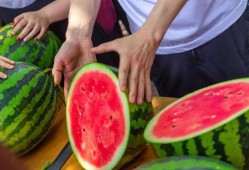 大学吃瓜照片,揭秘大学里的那些“吃瓜”瞬间