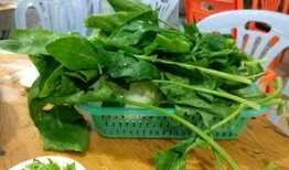 潮州黄冈吃瓜,瓜果飘香，品味传统美食文化