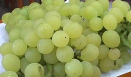 吃梨瓜带发吗,助你轻松养发护发