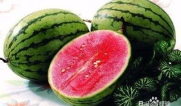 夏天吃瓜有什么忌讳,揭秘四大忌讳