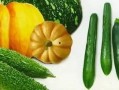 高州翰林府吃瓜,探寻古韵食趣，品味瓜果盛宴