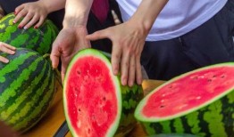 塔里木大学吃瓜,瓜香四溢的青春记忆