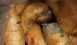 不小心吃腐烂瓜