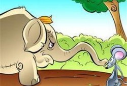 小老鼠偷瓜吃,一场趣味盎然的田园冒险